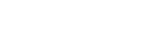 Divine Realty logo