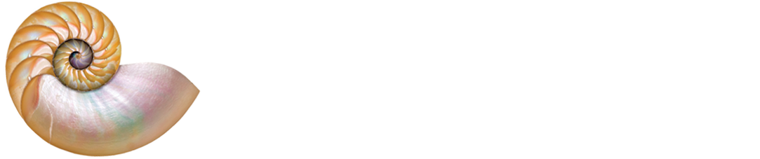 Monterey Bay Properties